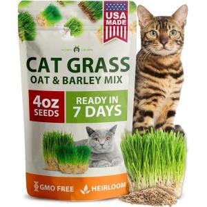 HOME GROWN Cat Grass Seeds 4 oz Oat & Barley Mix – Indoor Cat Grass Refill Kit – Digestive Green Grass for Pets – Heirloom Seeds for Cats’Health & Wellness