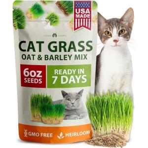 HOME GROWN Cat Grass Seeds 6 oz Heirloom Barley & Oat Mix, Refill for Indoor Cat Grass Growing Kit, Safe, Healthy, Green, for Cats, Pet Grass for Eating & Digestion