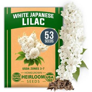 HOME GROWN German Chamomile Seed Pack 2,280 Non GMO Heirloom Seeds for Planting for Sustainable Gardens and Soothing Medicinal Herbal Teas (Matricaria chamomilla)(White Lilac)