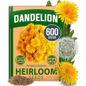 HOME GROWN German Chamomile Seed Pack 2,280 Non GMO Heirloom Seeds for Planting for Sustainable Gardens and Soothing Medicinal Herbal Teas (Matricaria chamomilla)(Dandelion)