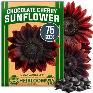 HOME GROWN German Chamomile Seed Pack 2,280 Non GMO Heirloom Seeds for Planting for Sustainable Gardens and Soothing Medicinal Herbal Teas (Matricaria chamomilla)(Chocolate Cherry Sunflower)