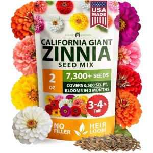 HOME GROWN German Chamomile Seed Pack 2,280 Non GMO Heirloom Seeds for Planting for Sustainable Gardens and Soothing Medicinal Herbal Teas (Matricaria chamomilla)(Zinnia California)