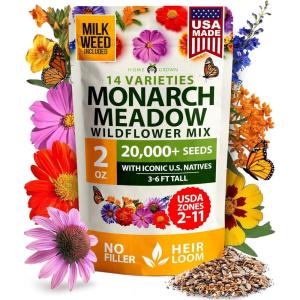 HOME GROWN German Chamomile Seed Pack 2,280 Non GMO Heirloom Seeds for Planting for Sustainable Gardens and Soothing Medicinal Herbal Teas (Matricaria chamomilla)(Monarch Meadow)