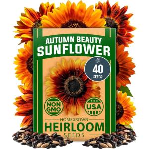 HOME GROWN German Chamomile Seed Pack 2,280 Non GMO Heirloom Seeds for Planting for Sustainable Gardens and Soothing Medicinal Herbal Teas (Matricaria chamomilla)(Autumn Beauty Sunflower)