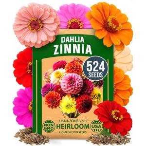 HOME GROWN German Chamomile Seed Pack 2,280 Non GMO Heirloom Seeds for Planting for Sustainable Gardens and Soothing Medicinal Herbal Teas (Matricaria chamomilla)(Zinnia Dahlia)