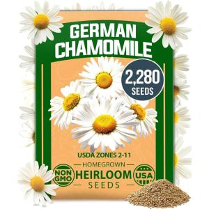 HOME GROWN German Chamomile Seed Pack 2,280 Non GMO Heirloom Seeds for Planting for Sustainable Gardens and Soothing Medicinal Herbal Teas (Matricaria chamomilla)(German Chamomile)