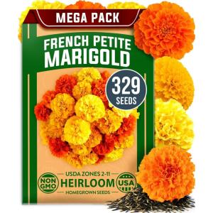 HOME GROWN German Chamomile Seed Pack 2,280 Non GMO Heirloom Seeds for Planting for Sustainable Gardens and Soothing Medicinal Herbal Teas (Matricaria chamomilla)(Marigold Petite)