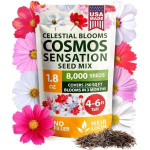 HOME GROWN German Chamomile Seed Pack 2,280 Non GMO Heirloom Seeds for Planting for Sustainable Gardens and Soothing Medicinal Herbal Teas (Matricaria chamomilla)(Cosmos)