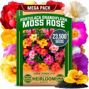 HOME GROWN German Chamomile Seed Pack 2,280 Non GMO Heirloom Seeds for Planting for Sustainable Gardens and Soothing Medicinal Herbal Teas (Matricaria chamomilla)(Moss Rose)