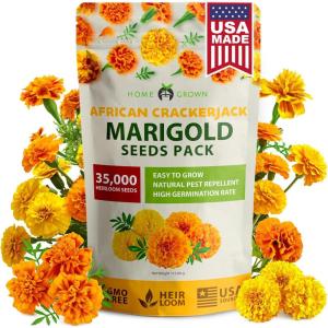 HOME GROWN German Chamomile Seed Pack 2,280 Non GMO Heirloom Seeds for Planting for Sustainable Gardens and Soothing Medicinal Herbal Teas (Matricaria chamomilla)(African Marigold)