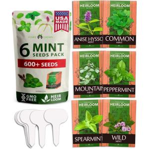 HOME GROWN Mint Seeds Variety Pack – 600+ Heirloom Non-GMO USA Peppermint, Spearmint & More – Herb Seeds for Planting Indoor Outdoor Garden – Fresh Mint for Tea & Cooking(Mint Herb 6-Pack)