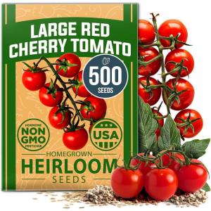 HOME GROWN Non GMO Luffa Seeds (Luffa aegyptiaca) 40 Heirloom Loofah Gourd Seeds for Planting High Germination Rate – Make Sponges or Harvest Young Loofahs for Eating(Large Red Cherry Tomato)