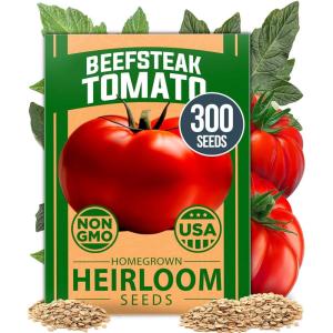 HOME GROWN Non GMO Luffa Seeds (Luffa aegyptiaca) 40 Heirloom Loofah Gourd Seeds for Planting High Germination Rate – Make Sponges or Harvest Young Loofahs for Eating(Beefsteak Tomato)