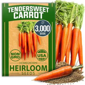 HOME GROWN Non GMO Luffa Seeds (Luffa aegyptiaca) 40 Heirloom Loofah Gourd Seeds for Planting High Germination Rate – Make Sponges or Harvest Young Loofahs for Eating(Carrot)