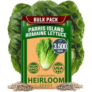 HOME GROWN Non GMO Luffa Seeds (Luffa aegyptiaca) 40 Heirloom Loofah Gourd Seeds for Planting High Germination Rate – Make Sponges or Harvest Young Loofahs for Eating(Romaine Lettuce)