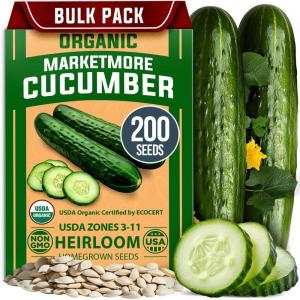 HOME GROWN Non GMO Luffa Seeds (Luffa aegyptiaca) 40 Heirloom Loofah Gourd Seeds for Planting High Germination Rate – Make Sponges or Harvest Young Loofahs for Eating(Cucumber)