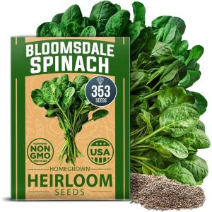 HOME GROWN Non GMO Luffa Seeds (Luffa aegyptiaca) 40 Heirloom Loofah Gourd Seeds for Planting High Germination Rate – Make Sponges or Harvest Young Loofahs for Eating(Spinach)