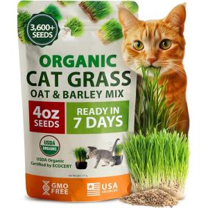 HOME GROWN Organic Cat-Grass Seed Mix (Oat & Barley) – 4 oz – Easy Indoor Planter