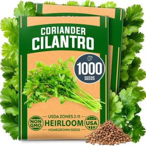 HOME GROWN Premium Common Mint Seeds (Bulk Pack) 3,600 Heirloom Herb Seeds, USA Sourced | Ideal for Planting Outdoors or Indoors for a Fresh Mint Tea Garden (Mentha spp)(Cilantro 2-Pack)
