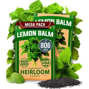 HOME GROWN Premium Common Mint Seeds (Bulk Pack) 3,600 Heirloom Herb Seeds, USA Sourced | Ideal for Planting Outdoors or Indoors for a Fresh Mint Tea Garden (Mentha spp)(Lemon Balm 2-Pack)