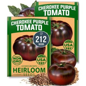 HOME GROWN Premium Common Mint Seeds (Bulk Pack) 3,600 Heirloom Herb Seeds, USA Sourced | Ideal for Planting Outdoors or Indoors for a Fresh Mint Tea Garden (Mentha spp)(Cherokee Tomato 2-Pack)