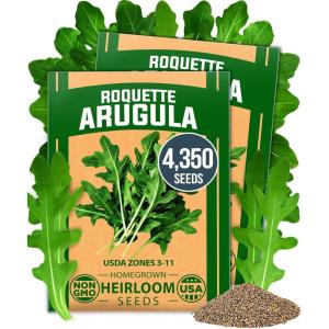 HOME GROWN Premium Common Mint Seeds (Bulk Pack) 3,600 Heirloom Herb Seeds, USA Sourced | Ideal for Planting Outdoors or Indoors for a Fresh Mint Tea Garden (Mentha spp)(Arugula 2-Pack)