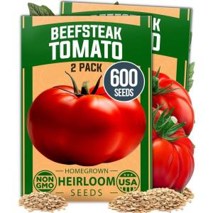 HOME GROWN Premium Common Mint Seeds (Bulk Pack) 3,600 Heirloom Herb Seeds, USA Sourced | Ideal for Planting Outdoors or Indoors for a Fresh Mint Tea Garden (Mentha spp)(Beefsteak Tomato 2-Pack)