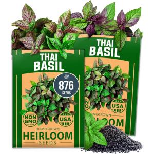 HOME GROWN Premium Common Mint Seeds (Bulk Pack) 3,600 Heirloom Herb Seeds, USA Sourced | Ideal for Planting Outdoors or Indoors for a Fresh Mint Tea Garden (Mentha spp)(Thai Basil 2-Pack)