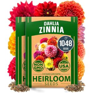 HOME GROWN Premium Common Mint Seeds (Bulk Pack) 3,600 Heirloom Herb Seeds, USA Sourced | Ideal for Planting Outdoors or Indoors for a Fresh Mint Tea Garden (Mentha spp)(Zinnia Dahlia 2-Pack)
