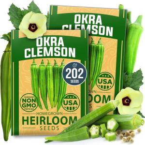 HOME GROWN Premium Common Mint Seeds (Bulk Pack) 3,600 Heirloom Herb Seeds, USA Sourced | Ideal for Planting Outdoors or Indoors for a Fresh Mint Tea Garden (Mentha spp)(Okra 2-Pack)