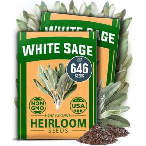 HOME GROWN Premium Common Mint Seeds (Bulk Pack) 3,600 Heirloom Herb Seeds, USA Sourced | Ideal for Planting Outdoors or Indoors for a Fresh Mint Tea Garden (Mentha spp)(White Sage 2-Pack)