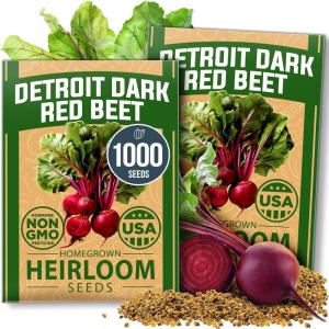 HOME GROWN Premium Common Mint Seeds (Bulk Pack) 3,600 Heirloom Herb Seeds, USA Sourced | Ideal for Planting Outdoors or Indoors for a Fresh Mint Tea Garden (Mentha spp)(Red Beet 2-Pack)