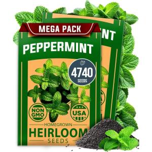 HOME GROWN Premium Common Mint Seeds (Bulk Pack) 3,600 Heirloom Herb Seeds, USA Sourced | Ideal for Planting Outdoors or Indoors for a Fresh Mint Tea Garden (Mentha spp)(Peppermint 2-Pack)