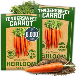 HOME GROWN Premium Common Mint Seeds (Bulk Pack) 3,600 Heirloom Herb Seeds, USA Sourced | Ideal for Planting Outdoors or Indoors for a Fresh Mint Tea Garden (Mentha spp)(Carrot 2-Pack)