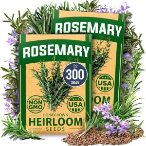 HOME GROWN Premium Common Mint Seeds (Bulk Pack) 3,600 Heirloom Herb Seeds, USA Sourced | Ideal for Planting Outdoors or Indoors for a Fresh Mint Tea Garden (Mentha spp)(Rosemary 2-Pack)