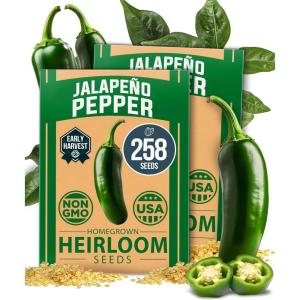 HOME GROWN Premium Common Mint Seeds (Bulk Pack) 3,600 Heirloom Herb Seeds, USA Sourced | Ideal for Planting Outdoors or Indoors for a Fresh Mint Tea Garden (Mentha spp)(Jalapeno Pepper 2-Pack)