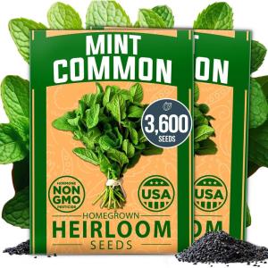 HOME GROWN Premium Common Mint Seeds (Bulk Pack) 3,600 Heirloom Herb Seeds, USA Sourced | Ideal for Planting Outdoors or Indoors for a Fresh Mint Tea Garden (Mentha spp)(Mint 2-Pack)