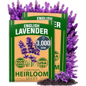 HOME GROWN Premium Common Mint Seeds (Bulk Pack) 3,600 Heirloom Herb Seeds, USA Sourced | Ideal for Planting Outdoors or Indoors for a Fresh Mint Tea Garden (Mentha spp)(Lavender 2-Pack)