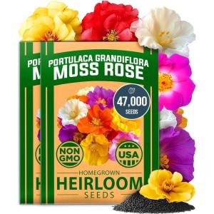 HOME GROWN Premium Common Mint Seeds (Bulk Pack) 3,600 Heirloom Herb Seeds, USA Sourced | Ideal for Planting Outdoors or Indoors for a Fresh Mint Tea Garden (Mentha spp)(Moss Rose 2-Pack)