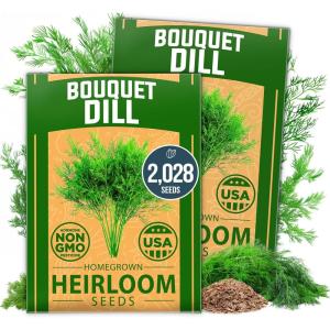 HOME GROWN Premium Common Mint Seeds (Bulk Pack) 3,600 Heirloom Herb Seeds, USA Sourced | Ideal for Planting Outdoors or Indoors for a Fresh Mint Tea Garden (Mentha spp)(Dill 2-Pack)