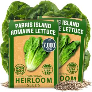 HOME GROWN Premium Common Mint Seeds (Bulk Pack) 3,600 Heirloom Herb Seeds, USA Sourced | Ideal for Planting Outdoors or Indoors for a Fresh Mint Tea Garden (Mentha spp)(Romaine Lettuce 2-Pack)