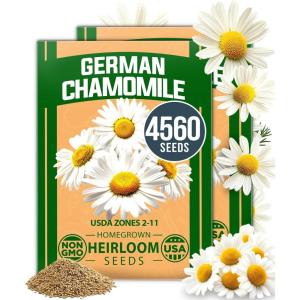 HOME GROWN Premium Common Mint Seeds (Bulk Pack) 3,600 Heirloom Herb Seeds, USA Sourced | Ideal for Planting Outdoors or Indoors for a Fresh Mint Tea Garden (Mentha spp)(Chamomile 2-Pack)