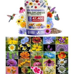 HOME GROWN Wildflower Seeds Mix – 49,100+ (2oz) Bulk Mix, 21 Varieties Wild Flower – Bee and Butterfly Garden Pack – Native Annual Flowers for Planting for Your Garden(19 Varieties Perennial 3 oz)
