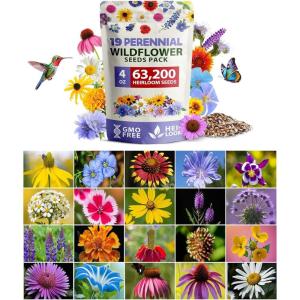 HOME GROWN Wildflower Seeds Mix – 49,100+ (2oz) Bulk Mix, 21 Varieties Wild Flower – Bee and Butterfly Garden Pack – Native Annual Flowers for Planting for Your Garden(19 Varieties Perennial 4 oz)