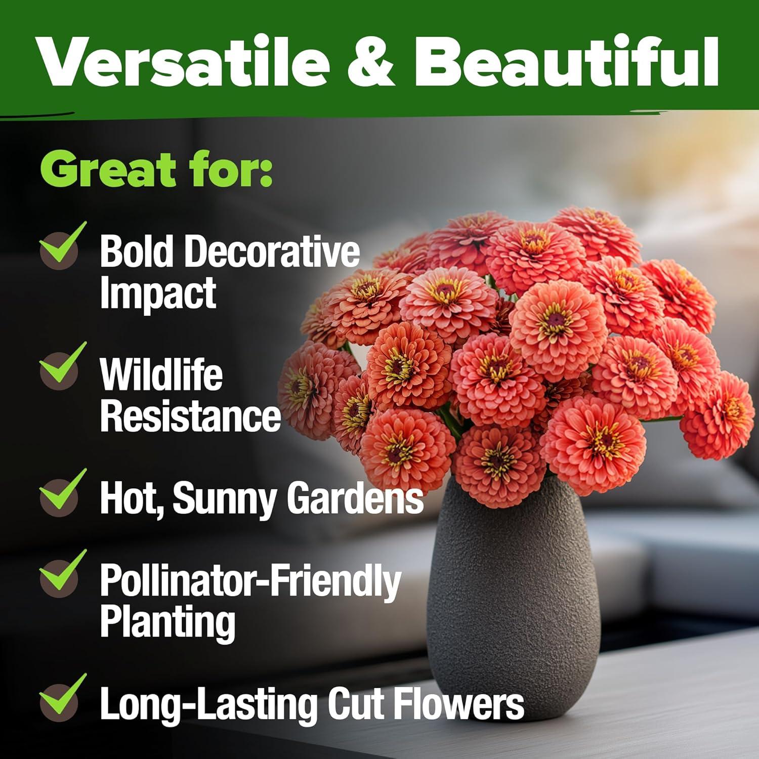 image:imageHOME GROWN Coral Zinnia Seeds 1g 600 Zinnia elegans Annual Flower Seeds for Planting Outdoors Heat Tolerant Easy Summer Flowers to Plant Herb Seed Companion for Pollinator Garden Beds for 2026Zinnia Coral 2pk