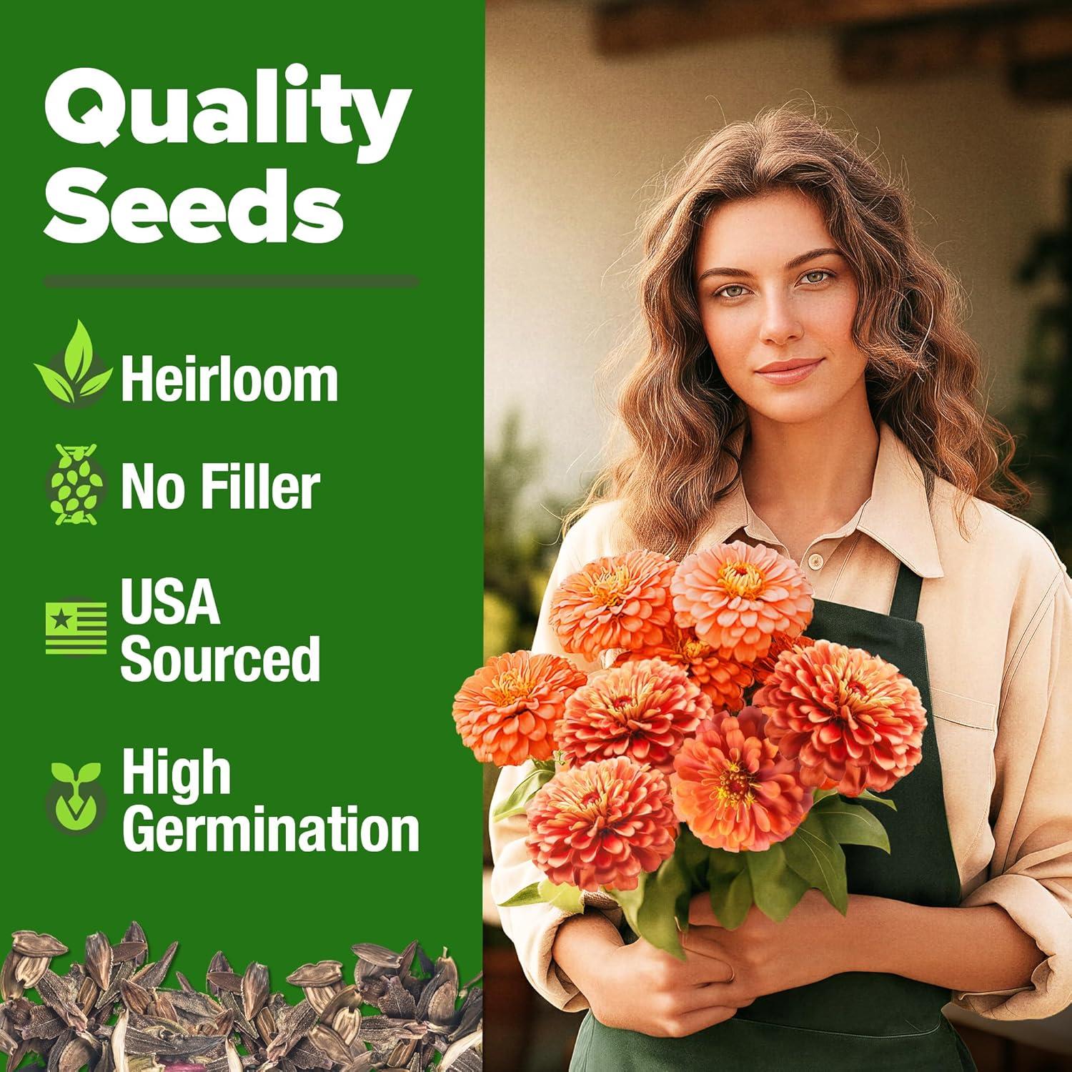 image:imageHOME GROWN Coral Zinnia Seeds 1g 600 Zinnia elegans Annual Flower Seeds for Planting Outdoors Heat Tolerant Easy Summer Flowers to Plant Herb Seed Companion for Pollinator Garden Beds for 2026Zinnia Coral 1pk