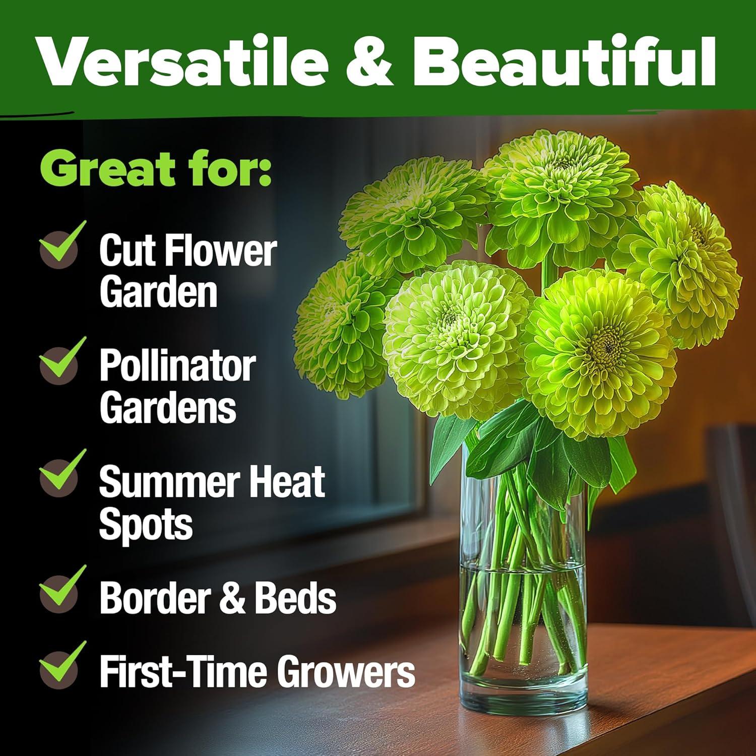 image:imageHOME GROWN Envy Zinnia Seeds 1g 1000 Rare Lime Green Annual Zinnia Flower Seeds for Planting FastGrowing HeatLoving Variety Premium Herb Seeds Garden Companion for 2026 Blooms Zinnia elegansZinnia Envy 1pk