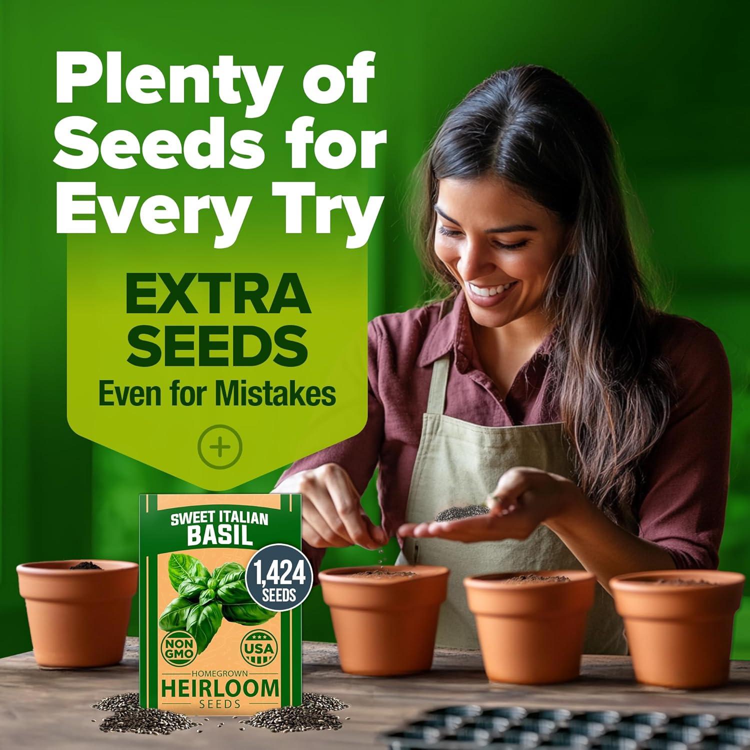 image:imageHOME GROWN Non GMO Genovese Basil Seeds Pack 1750 High Germination Heirloom Seeds Ocimum basilicum Herb Seeds for Planting Indoor amp Outdoor Gardening for Culinary UseItalian Basil