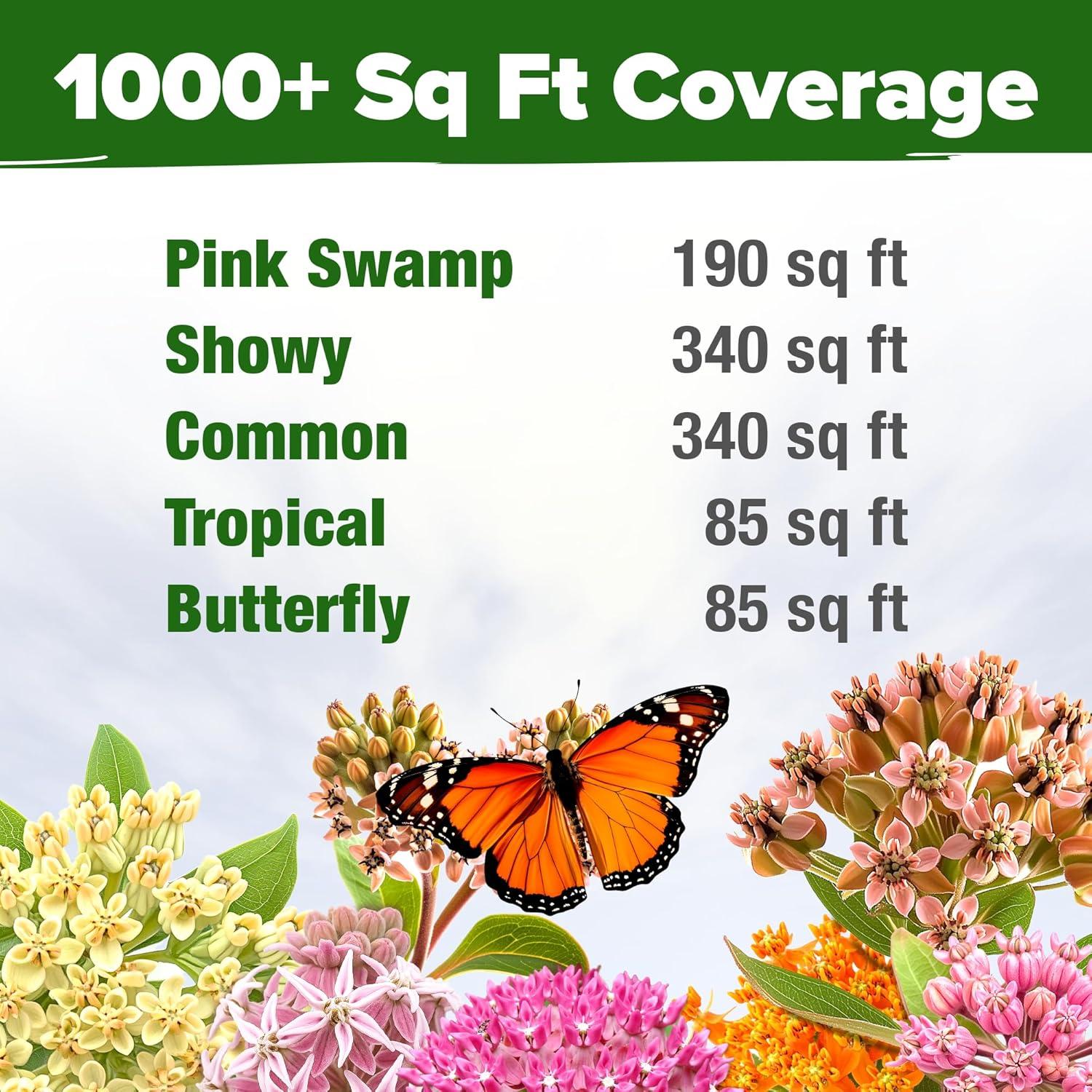 image:imageHOME GROWN Non GMO Genovese Basil Seeds Pack 1750 High Germination Heirloom Seeds Ocimum basilicum Herb Seeds for Planting Indoor amp Outdoor Gardening for Culinary UseMilkweed
