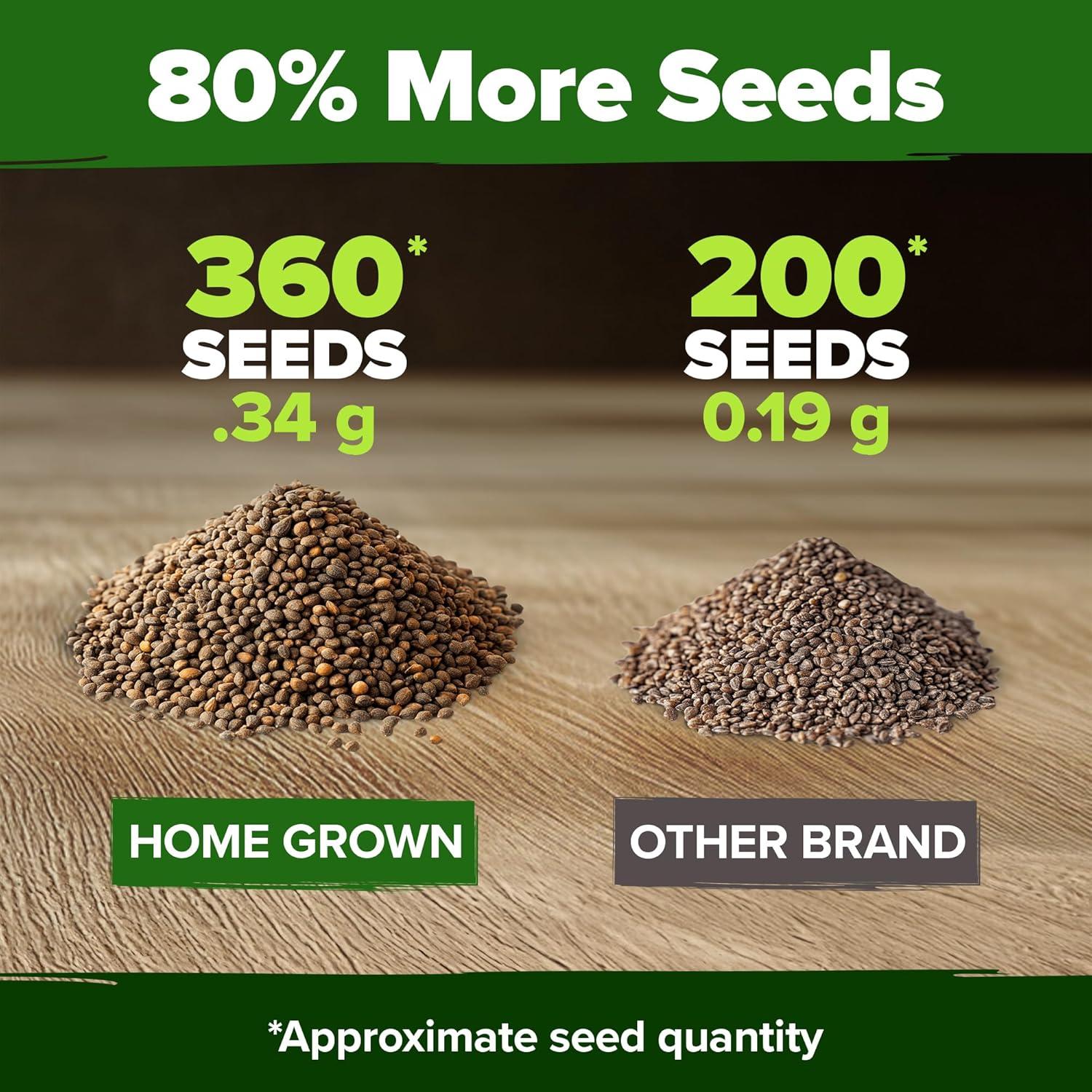 image:imageHOME GROWN Non GMO Genovese Basil Seeds Pack 1750 High Germination Heirloom Seeds Ocimum basilicum Herb Seeds for Planting Indoor amp Outdoor Gardening for Culinary UseCulantro